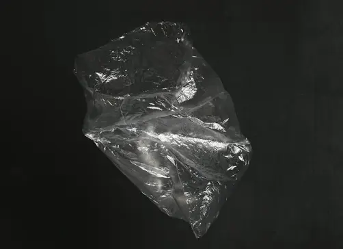 plastic bag