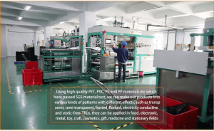 blister packaging manufacturers