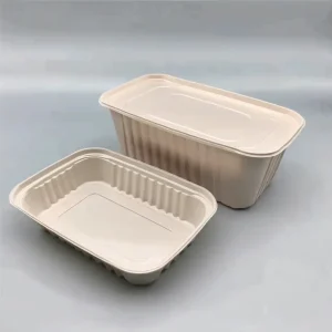 Bagasse Packaging