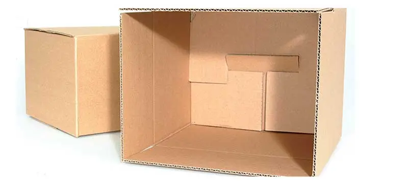 Carton