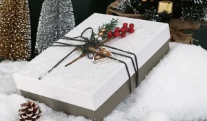 Christmas packaging box