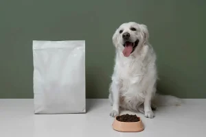 Golden Retriever and his dog food
