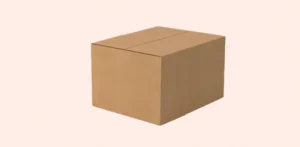 Rectangular Shipping Box