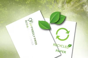 Eco-Friendly vs. Recycled Paper