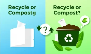 Paper Towel Recycling and Composting Guide