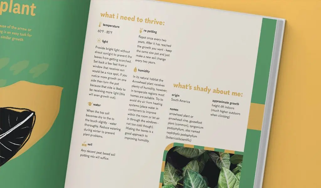 Create a Smooth Visual Flow