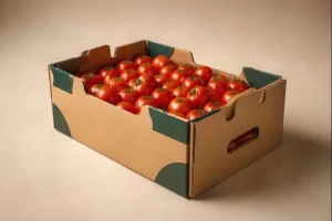 Top 10 tomato box manufacturers in China